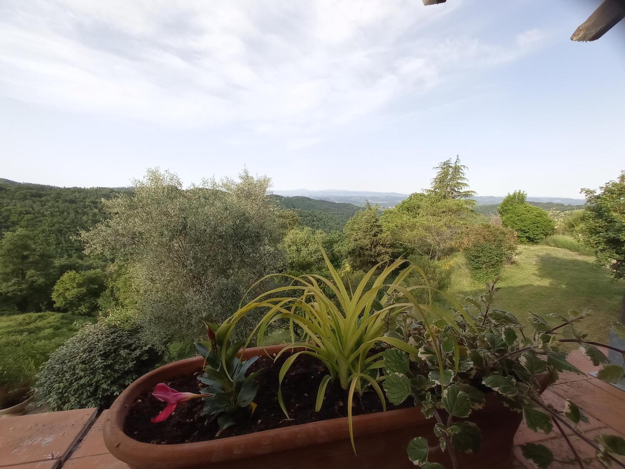 Appartamento Podere L'Aquila Gaiole in Chianti Camera foto